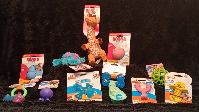 High Quality Puppy Toys at Sparta Pet Shoppe and Spa