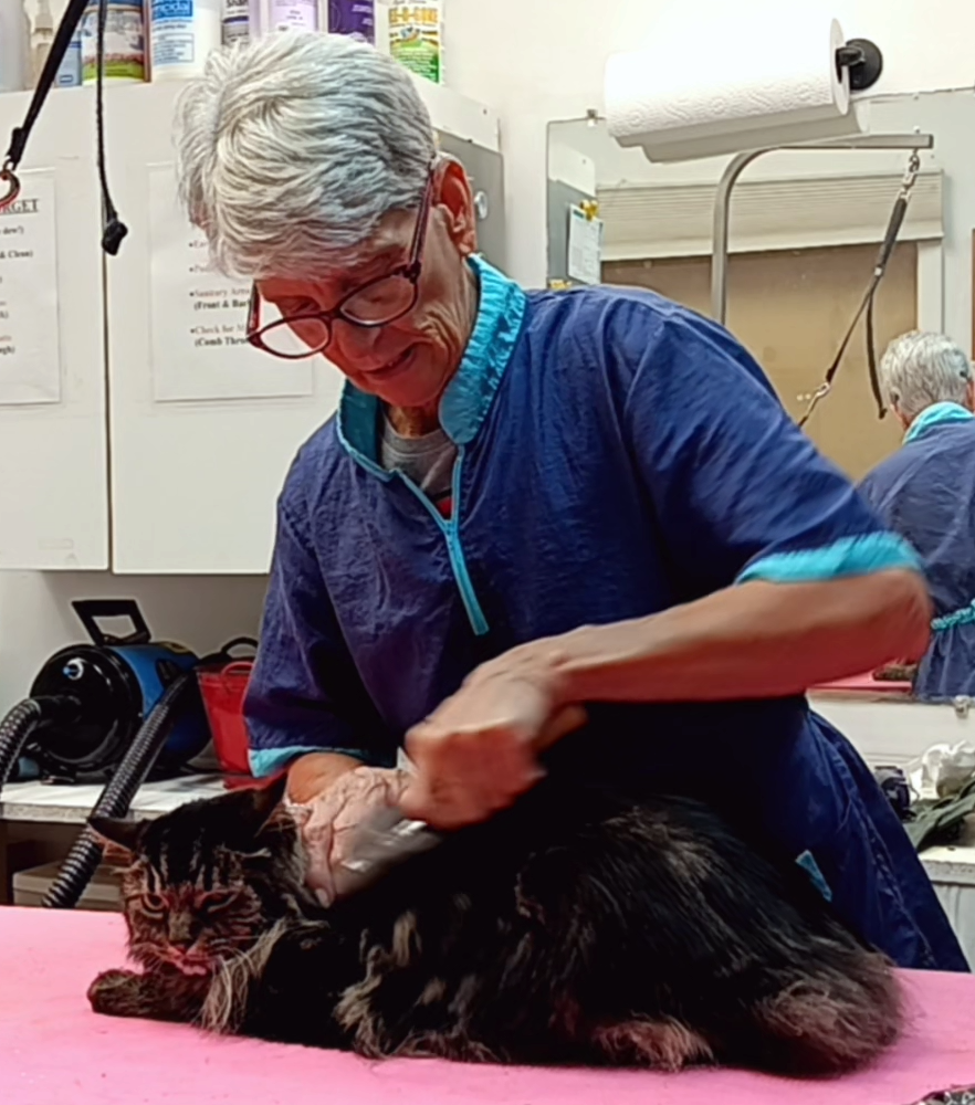A woman grooming a cat