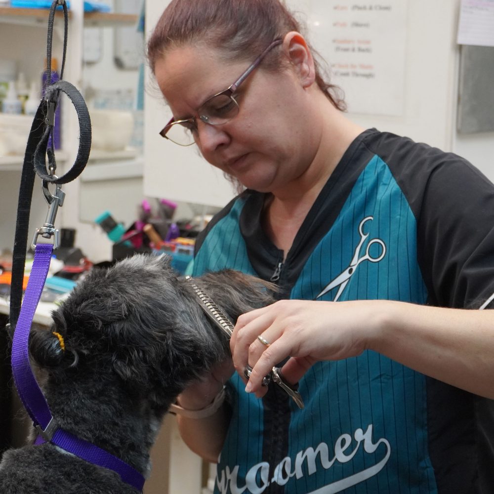 Steph Grooming