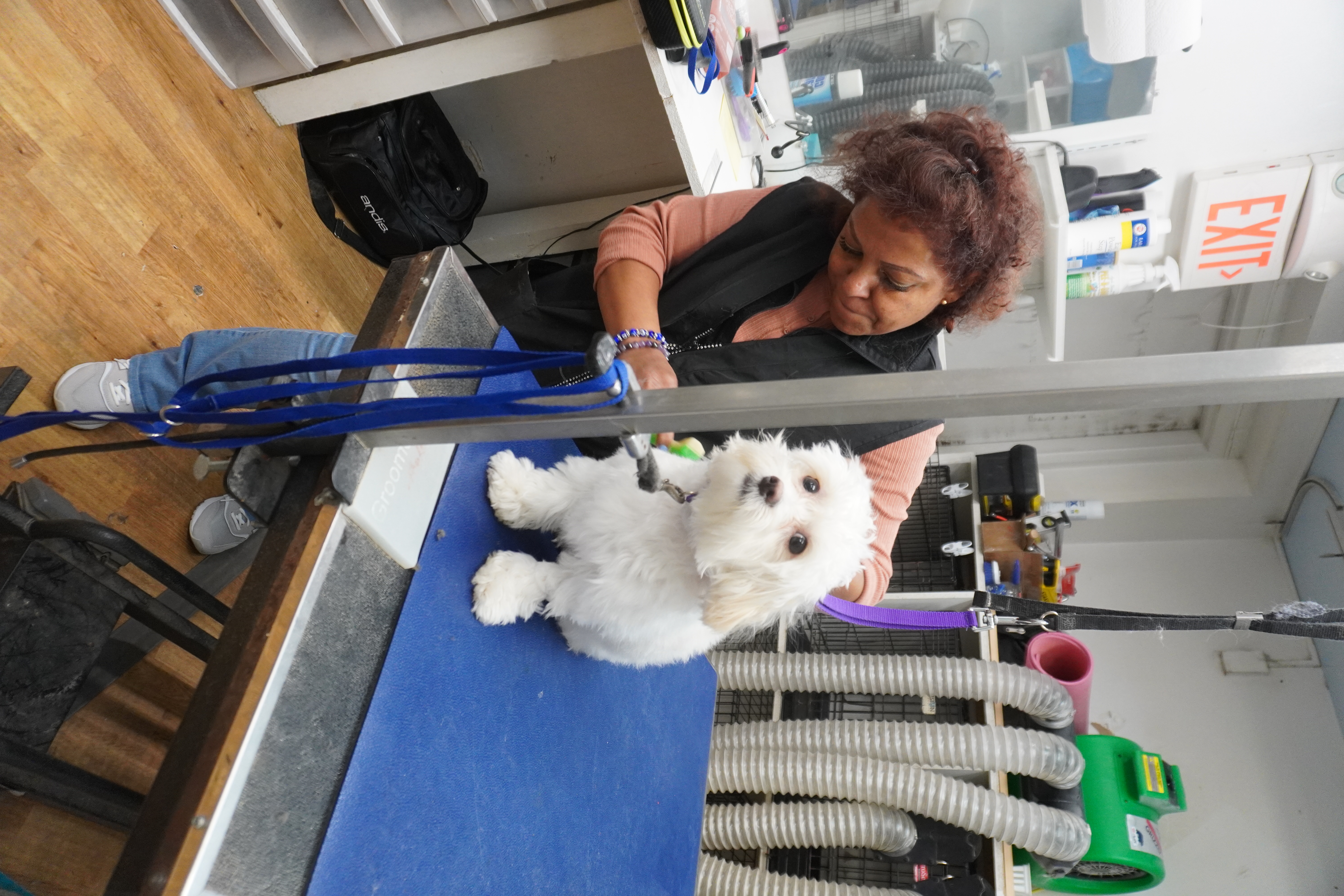 Maria B - Groomer
